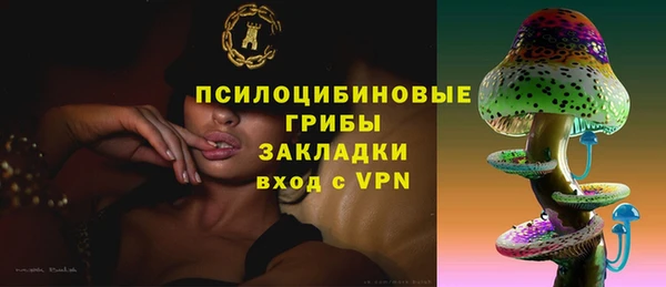 шишки Россошь