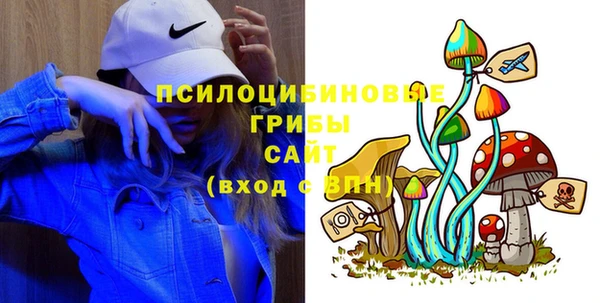 mdpv Рославль