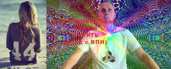 круглые Абаза